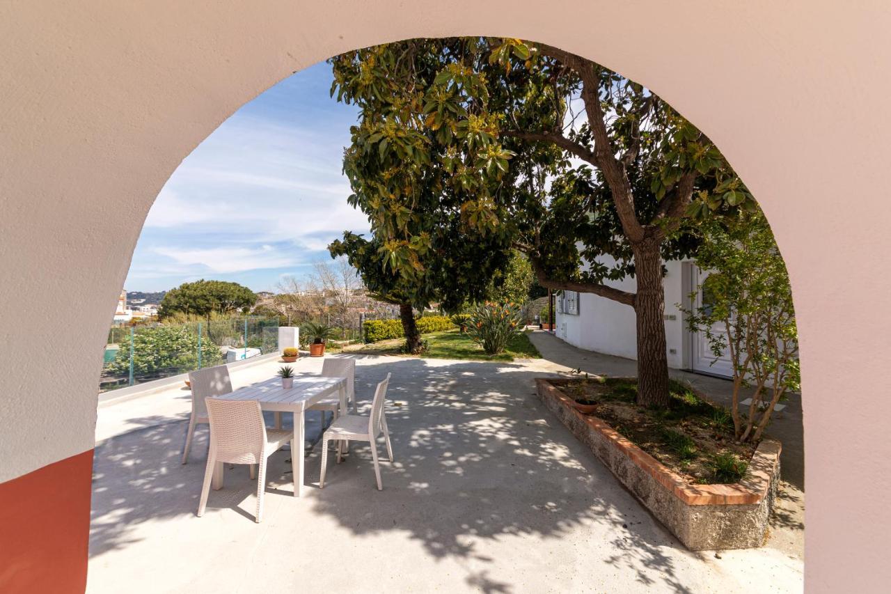 Forio di Ischia Casa Degli Aranciヴィラ エクステリア 写真